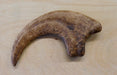 Dinosaur Claw from The Prehistoric Store