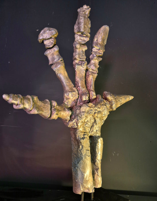 Iguanodon hand cast replica for sale at the Prehistoric Store
