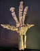 Iguanodon hand cast replica for sale at the Prehistoric Store