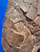 Tyrannosaurus rex egg replica