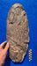 Hopw big were T rex's eggs? Egg replica 46cm long for sale at The Prehistoric Store