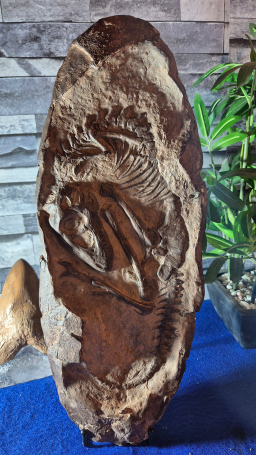 Baby T rex in its egg, replica from The Prehistoric Store