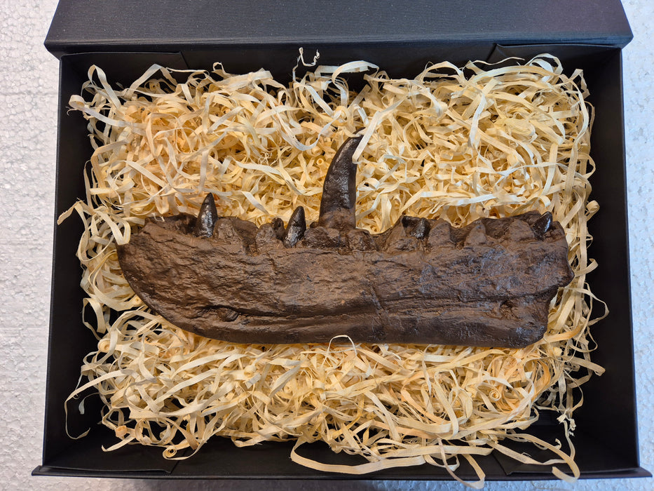 Megalosaurus Dinosaur jaw replica, original found by William Buckland