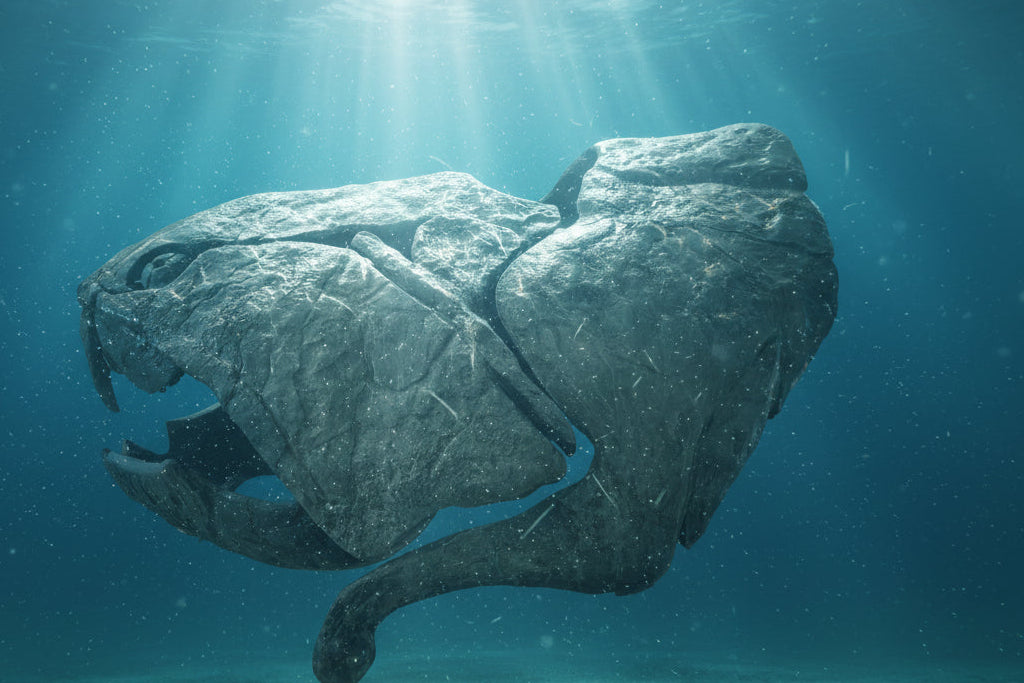 DUNKLEOSTEUS FULL SIZE SKULL
