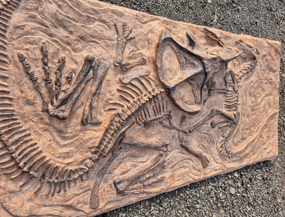 'Fighting Dinosaurs' 1.8m Wall Mountable Display - Velociraptor and Protoceratops