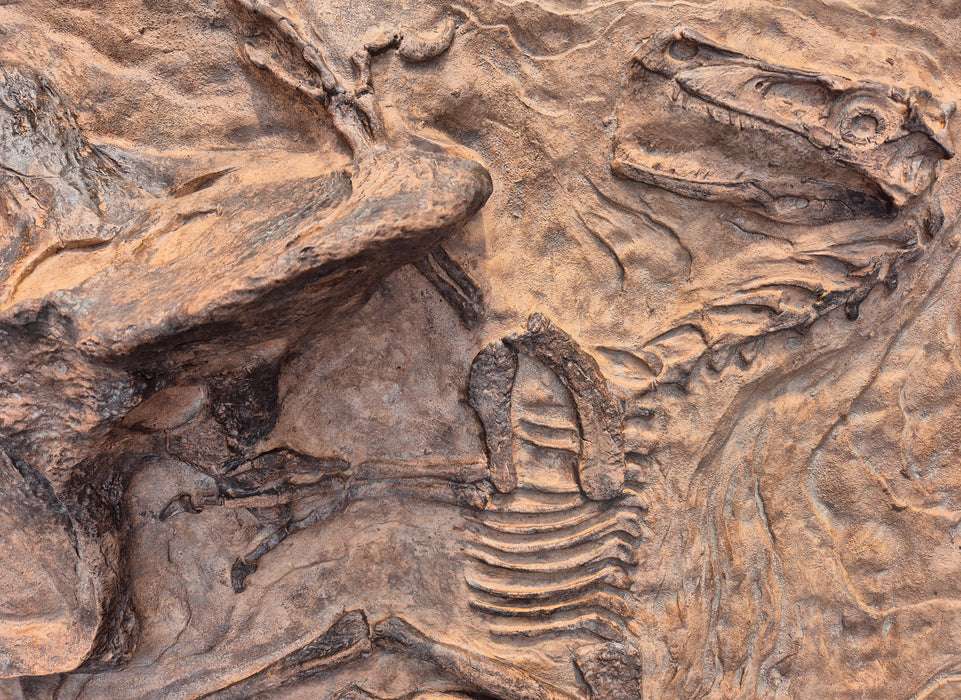 'Fighting Dinosaurs' 1.8m Wall Mountable Display - Velociraptor and Protoceratops