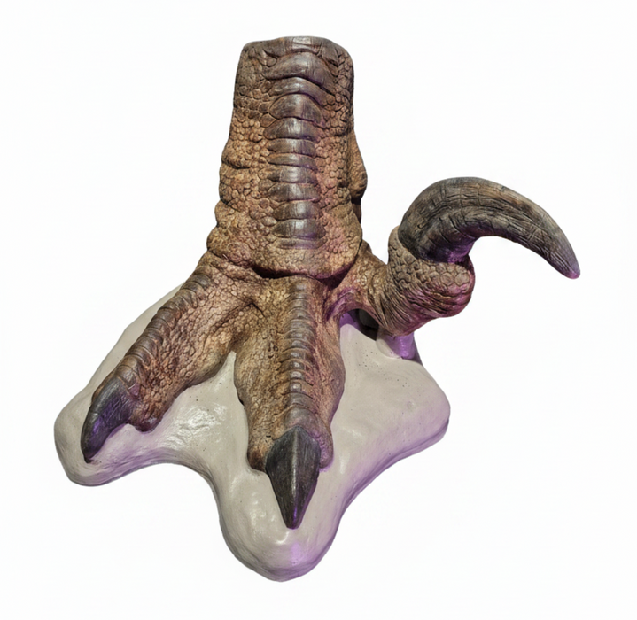 Relica tahraptor Foot - Looks just like a modern day Ostrich, Dinosaur Bird like foot from he Prehistoric Store