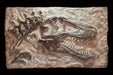 juvenile T rex skull replica baby tyrannosaurus for sale
