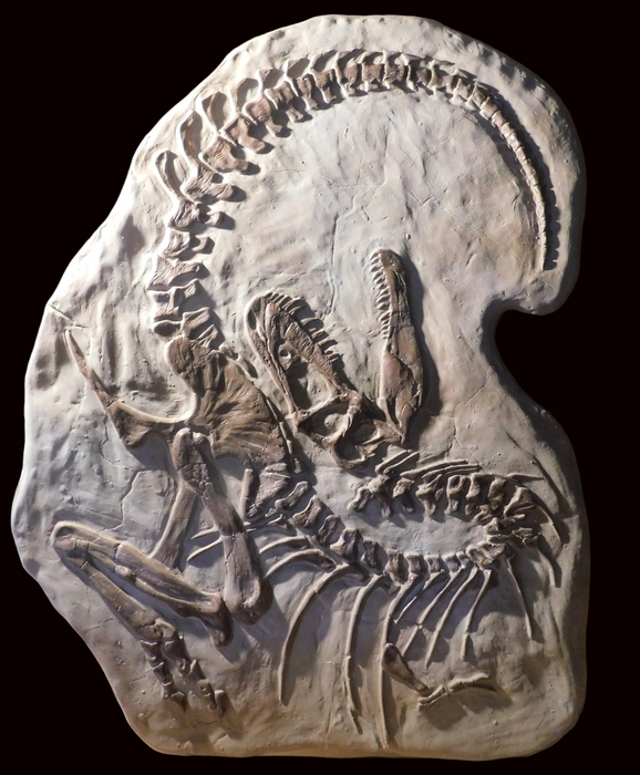 Juvenile Tyrannosaur Wall Display Panel 'Death Pose' 102cm X 80cm