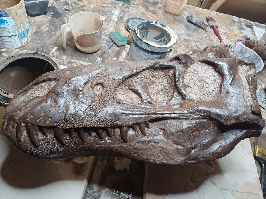NANOTYRANNUS LANCENCIS LIFE SIZED SKULL