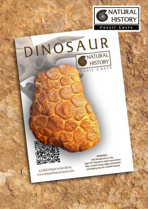 Triceratops Skin Impression replica cast £14.99 Natural History Fossil Casts, The Prehistoric Store