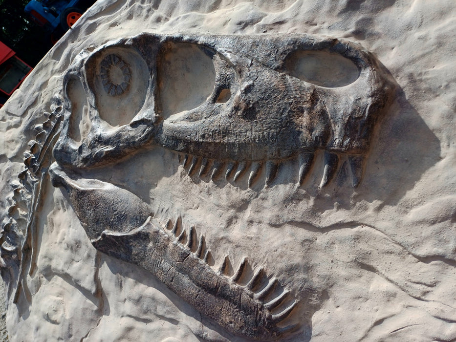 Utah Rapter Head Life Size Utahraptor Wall Display Panel 98cm X 76cm (Copy) — The ...