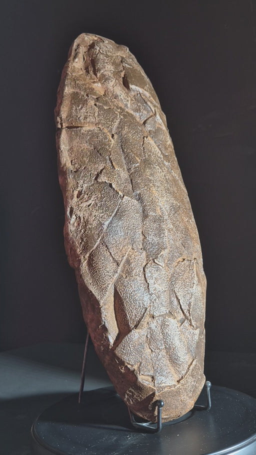 Tyrannosaurus egg replica for sale