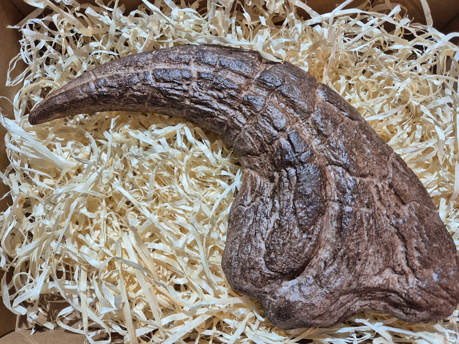 Saurophaganax Claw Replica For Sale at The Prehistoric Store 48 Hr Shipping