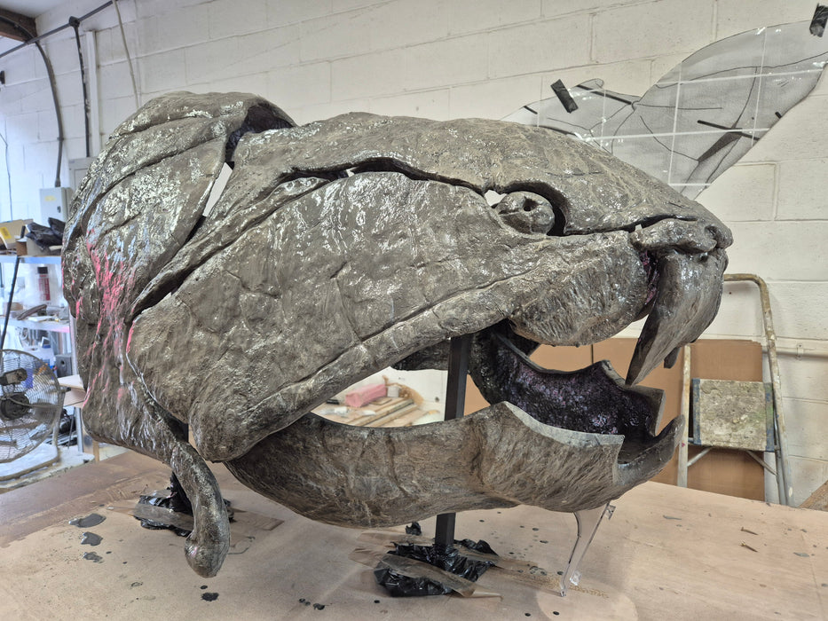 DUNKLEOSTEUS FULL SIZE SKULL