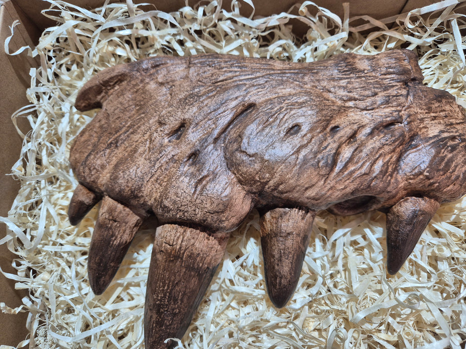 Spinosaurus aegyptiacus Life Size Maxilla Bone With Teeth