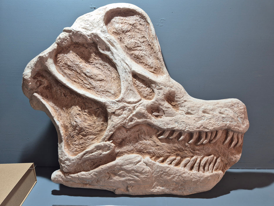 Life Size Brachiosaurus Wall Display Panel 72cm X 62cm