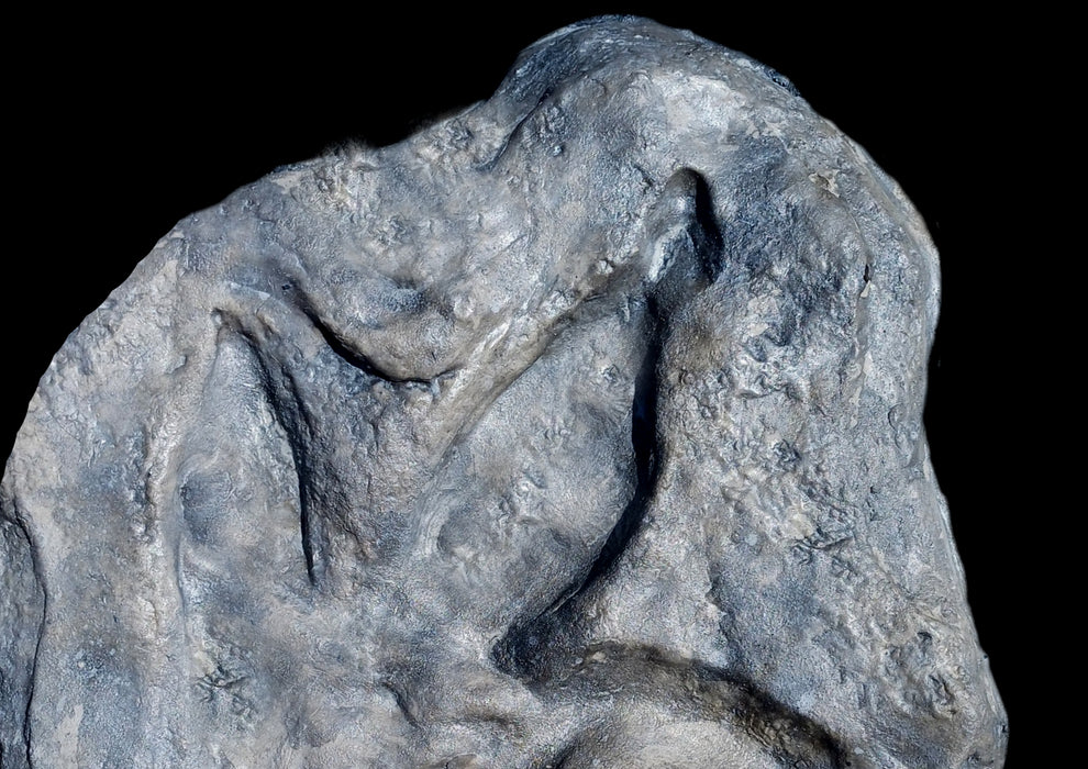 UK Theropod Footprint Replica (Isle of Skye) - Megalosaurus