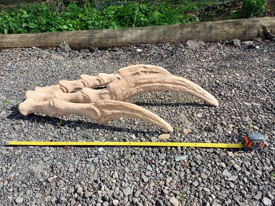Therizinosaurus Fossilized Claws and Hand 4 foot Life Sized Replica