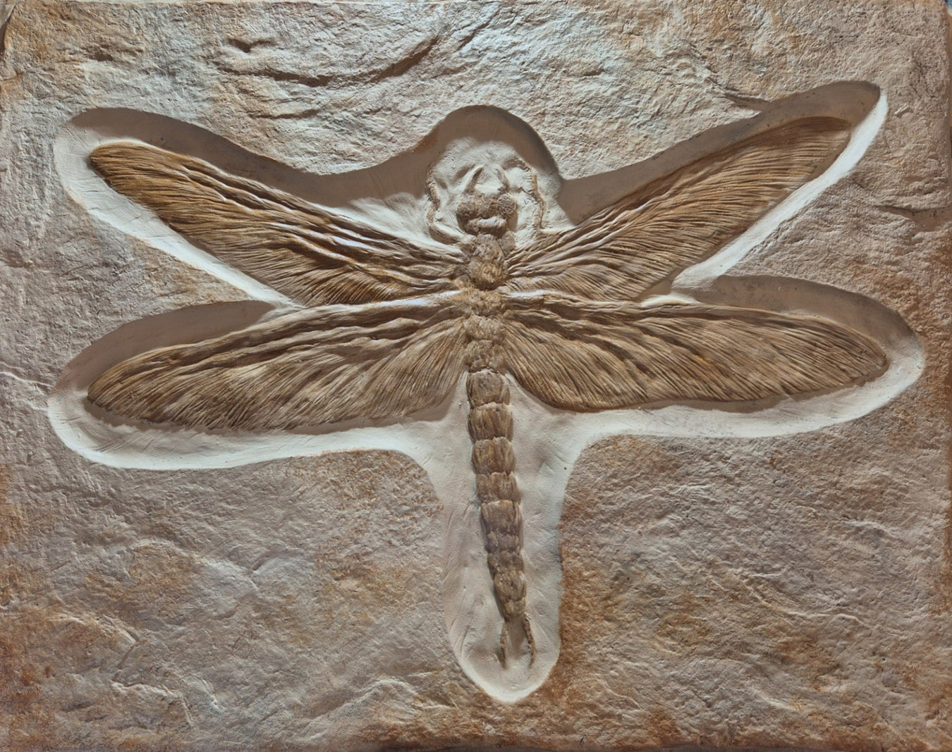 Carved stone plaque with a detailed dragonfly design on a textured  background, the largest insect ever.