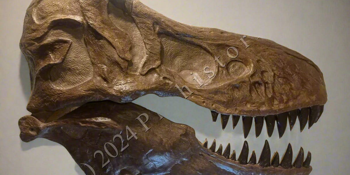 ws1_7bf1662b-3d72-4fa2-b75a-