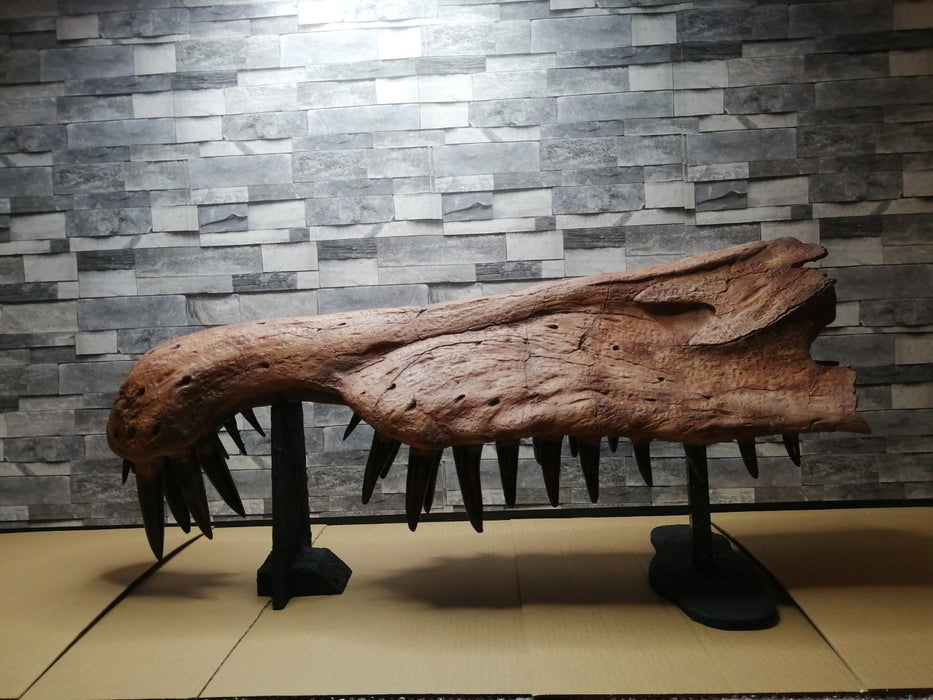 Spinosaurus jawbone skull rostrum replica 