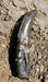 Allosaurus Tooth Replica The Prehistoric Store