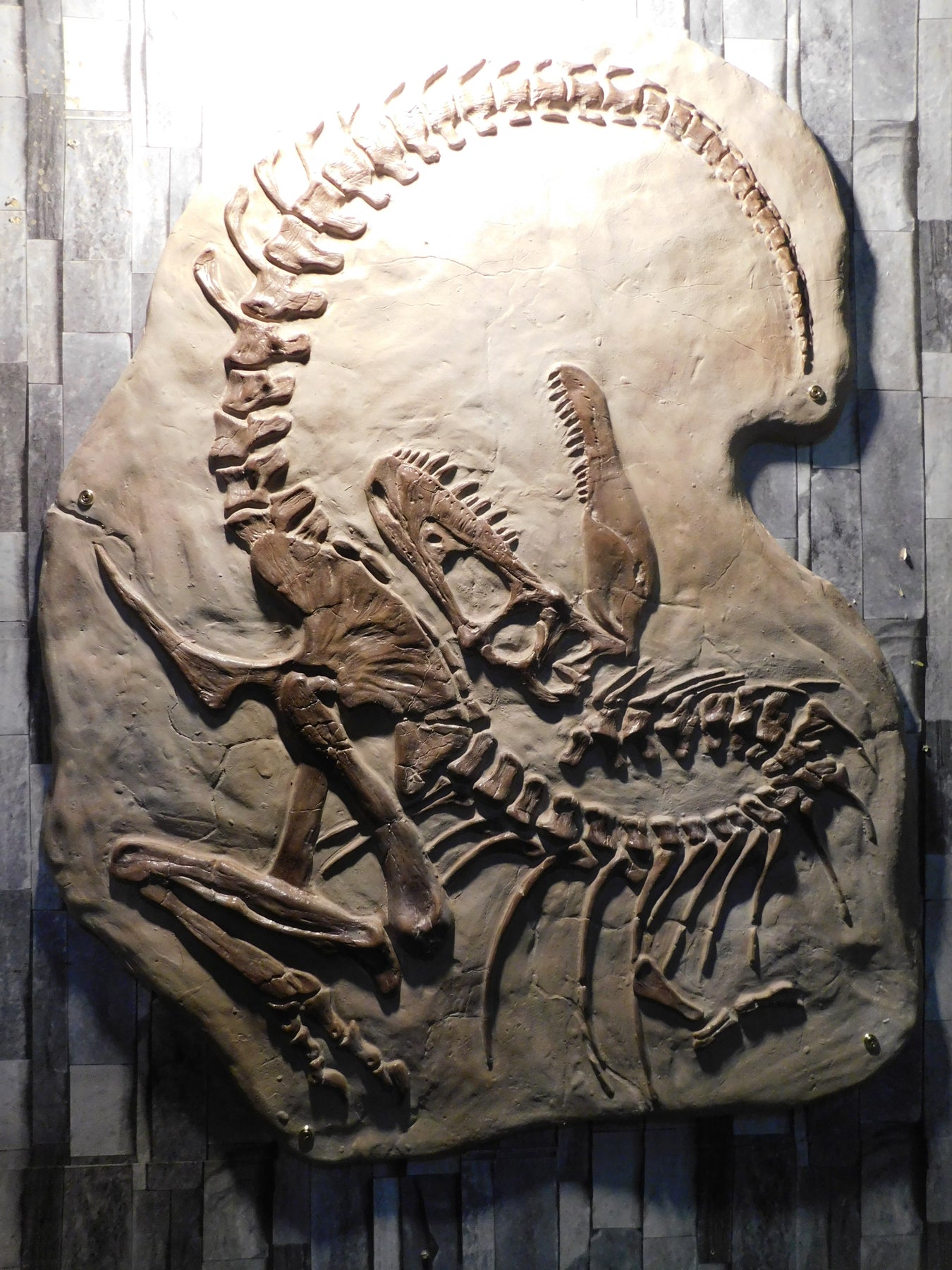 Museum grade wall mountable reproductions/casts