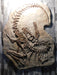 Death Pose Gorgosaurus Replica Available From The Prehistoric Store