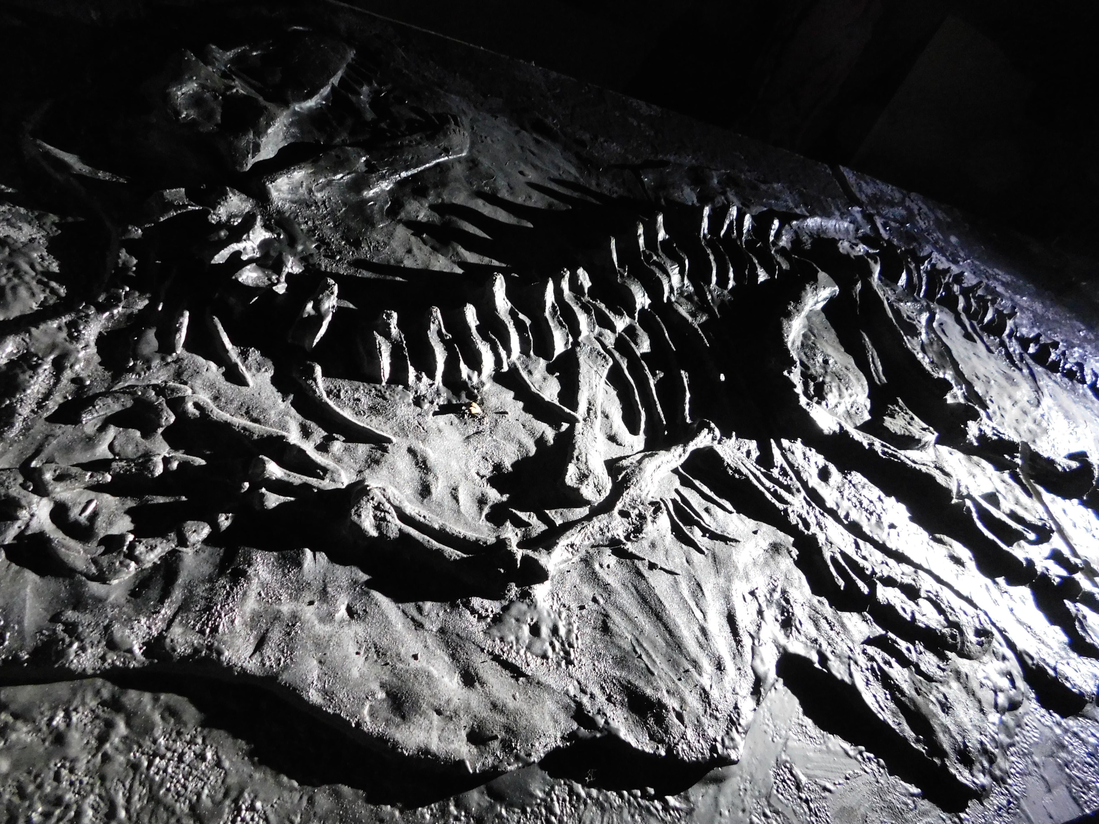 Utahraptor full Wall mountable Skeleton/Dig panel with cluster of eggs ...