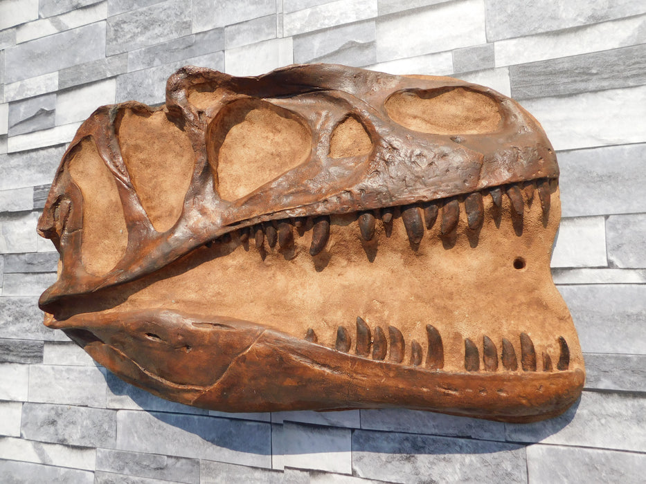 Allosaurus Skull Replica for sale fromThe Prehistoric Store in Fossil Brown