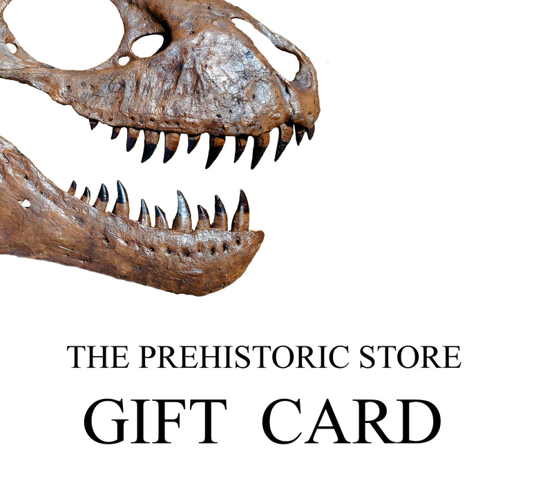 Prehistoric Store Gift Card