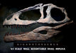 Giganotosaurus Skull Replica - Half skull wall display, 1.5m long, bigger than T rex! Available from The Prehistoric Store