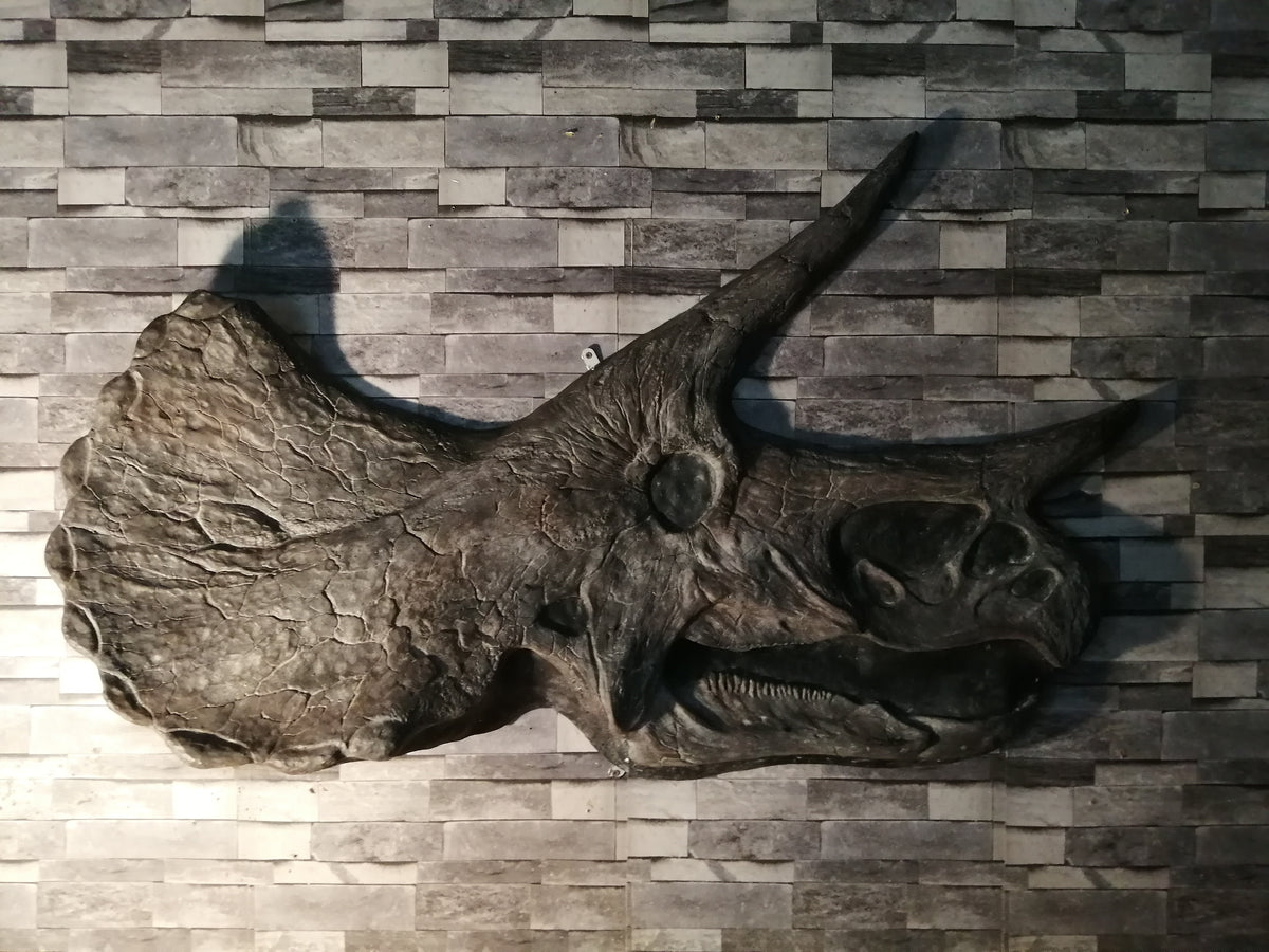 Triceratops prorsus Life Sized 1.3m Skull Replica Wall Mountable or S The Prehistoric Store