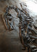 Jurassic world Velociraptor skeleton, replica available from The Prehistoric Store