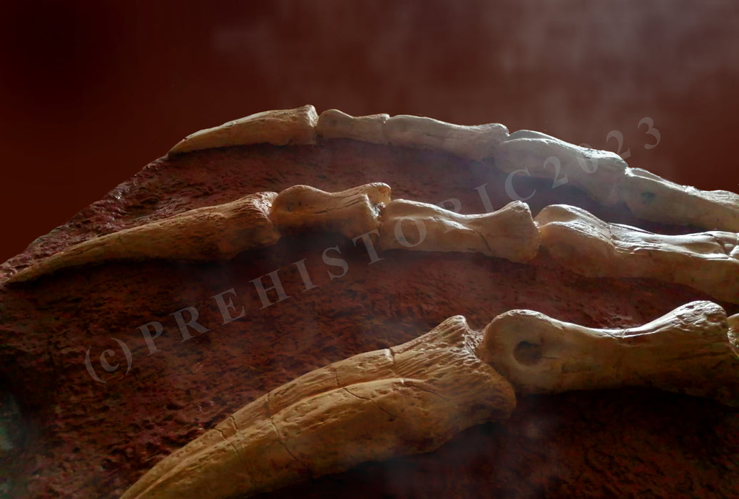 Spinosaurus aegyptiacus Life Sized Hand In Matrix Reconstruction