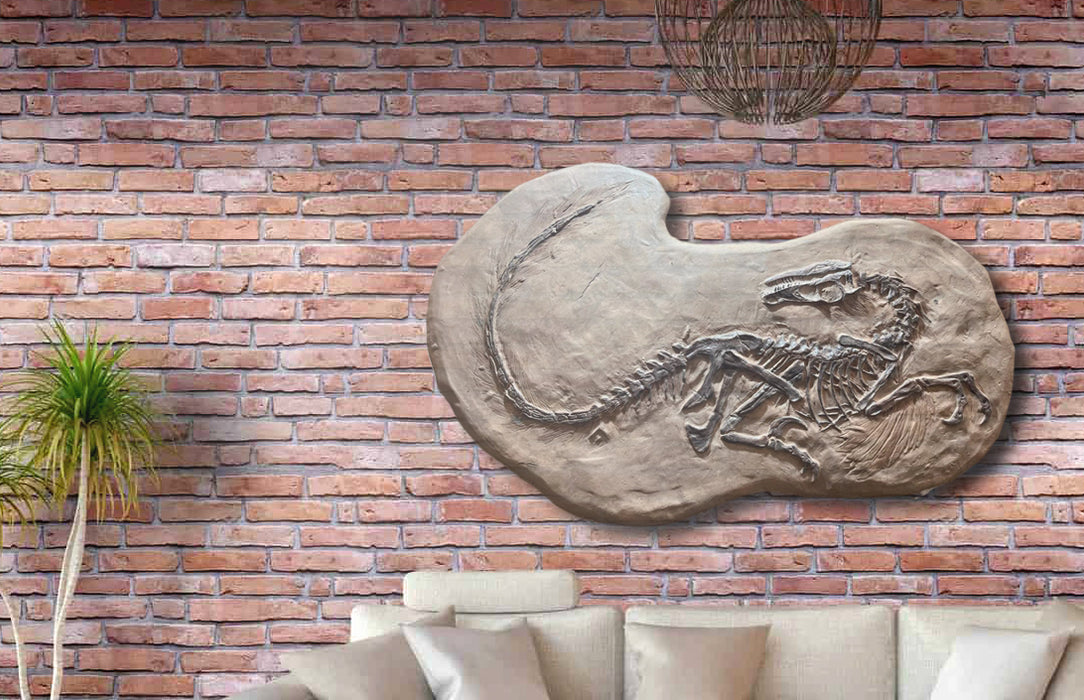 Velociraptor Wall Mountable Skeleton for sale can also be used as a dinosaur dig pit or dinosaur excavation - The Prehistoric Store