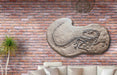 Velociraptor Wall Mountable Skeleton for sale can also be used as a dinosaur dig pit or dinosaur excavation - The Prehistoric Store