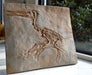 Pterodactyl - The Prehistoric Store.com