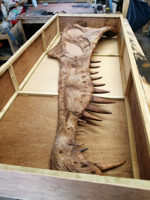 Spinosaurus Skull Replica From The Prehistoric Store. Wall Mountable