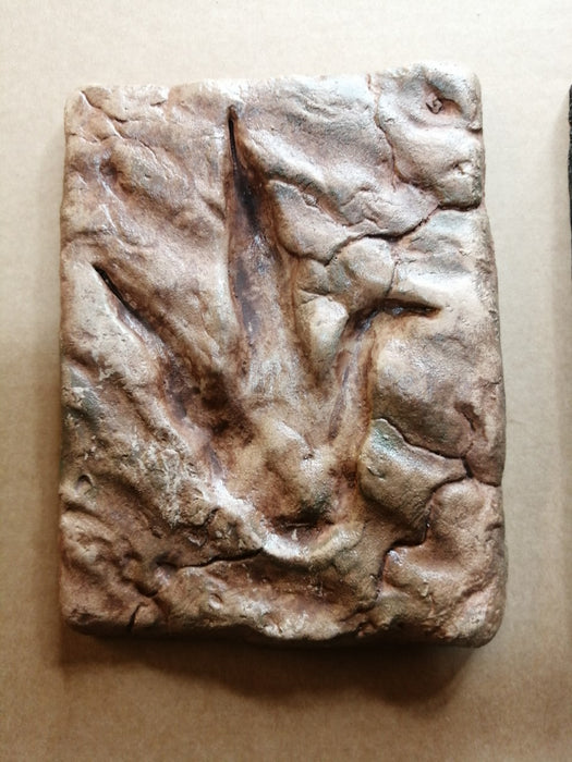 Dinosaur Footprints UK Replica available from The Prehistoric Store