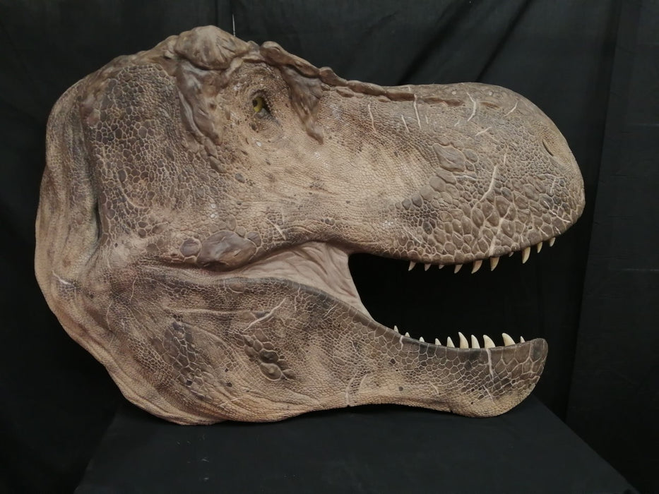 Tyrannosaurus rex 5 Foot Life Sized Wall Mountable Display