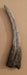 Therizinosaurus claw replica from The Prehistoric Store. Fossil replicas for sale in England, United Kingdom