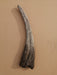 Therizinosaurus claw replica from The Prehistoric Store. Fossil replicas for sale in England, United Kingdom