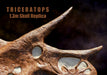 Triceratops prorsus Skull Replica - Hailed as the most accurate Triceratops skull replica available